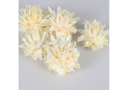 Plumosum biely 200g