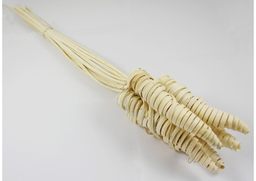 Cane cone S/25 biela