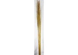 Tonkin Golden Stick Natur 100ks