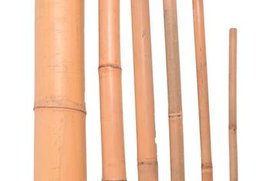 Bambus 3,8-4cm, 3ks