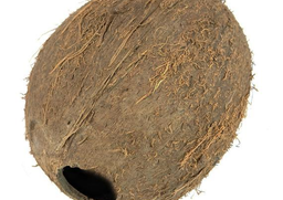 Coconut whole
