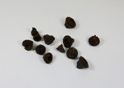 *Eucalyptus natur 300g