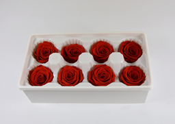 Stabil. ruže červené 4-5cm S/8