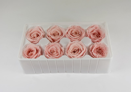 Stabil. ruže ružové 4-5cm S/8