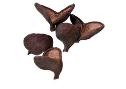 *Badam S/10 natur