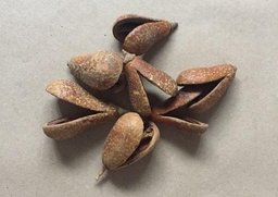 Mike fruit natur 50ks
