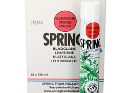 Sprej lesk na listy SPRING 750ml