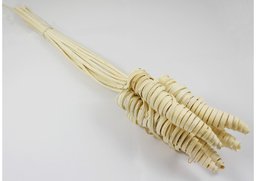 Cane cone S/25 biela