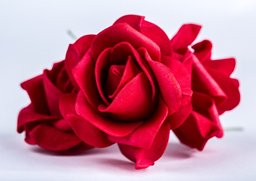 Ruža 7cm červená 24ks