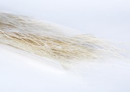 White lady biela 20ks