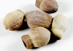 Bellgum natur 250g