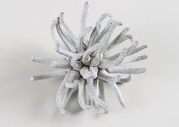 Spidergum biela 10ks