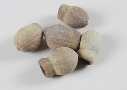 Bellgum natur VN 1kg
