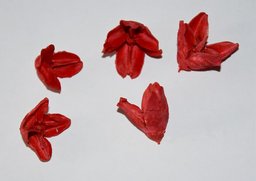 Bakuli červená 250g