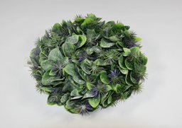 Veniec buxus VV list Z.pichl. 24cm
