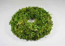 V. buxus sv.zel.hustý 30cm