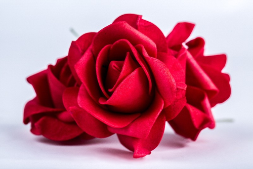 Ruža 7 cm, S/24 červená