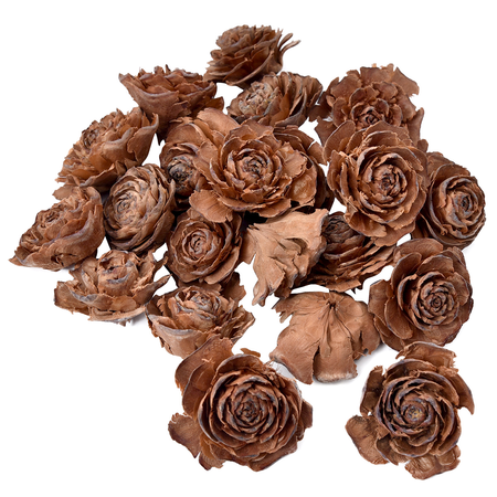 *Cedar rose natur S/30