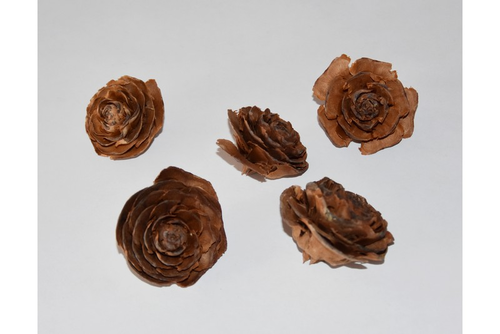 *Cedar rose natur S/30