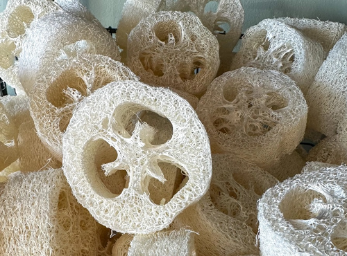 *Luffa cut 50 g
