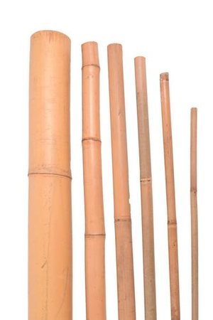 Bambus 3,8-4cm, 3ks