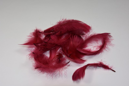 Pierka voľné Bordové, 10g