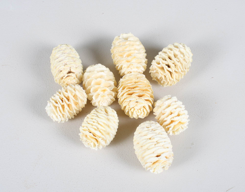 Sabulosum biely 200g