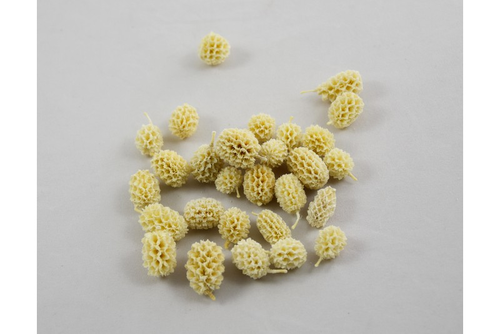 Casurina biela 250g