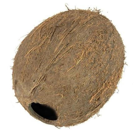 Coconut whole