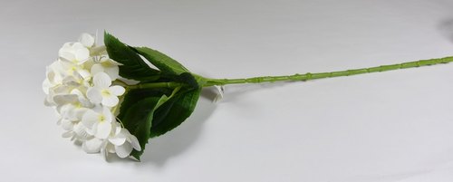Hortenzia krém 65cm (vypredané