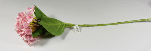 Hortenzia sv.ružová 65cm (vypredané
