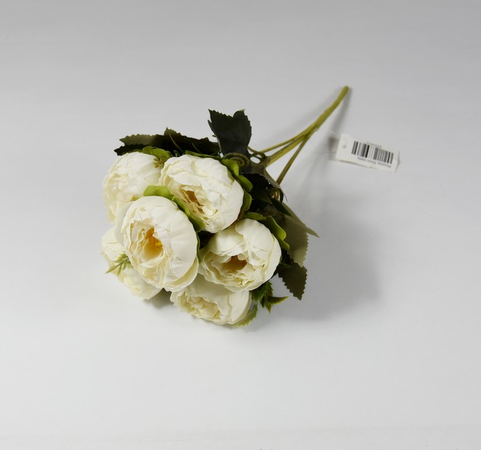 Pivónia 30cm biela (vypredané)