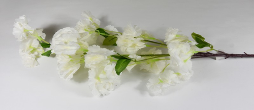 Čerešňa biela 100cm (vypredané)