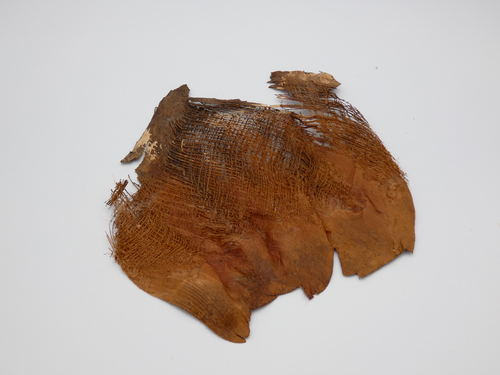 Kôra natur 500g