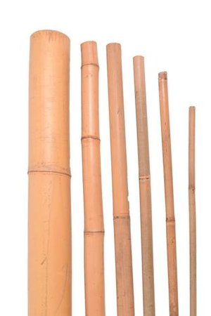 Bambus 2,5cm, 5ks
